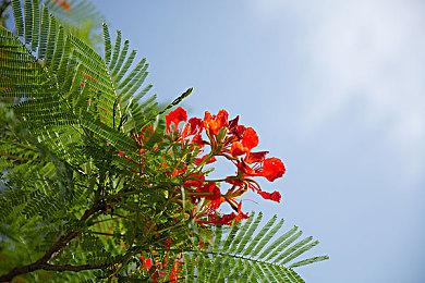 《大金刚国度 归来 HD》明年1月登录Switch 包含80个关卡